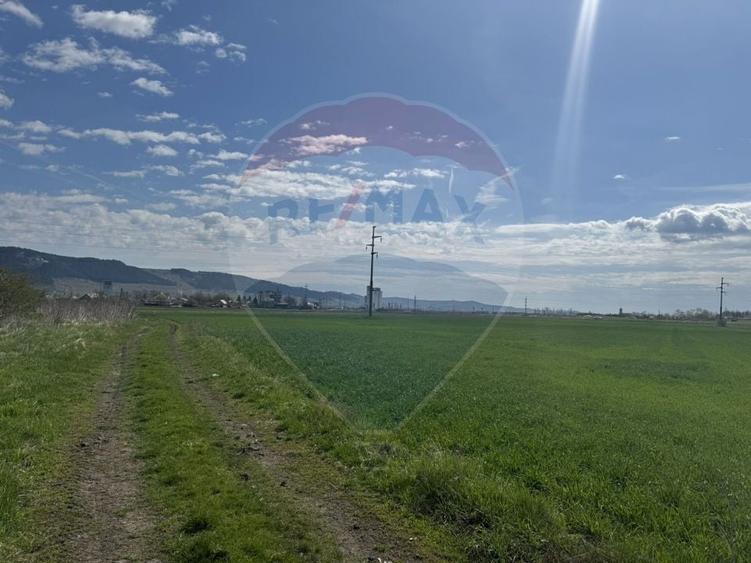 Teren Construcții extravilan de 8600 mp, în Luna de Jos