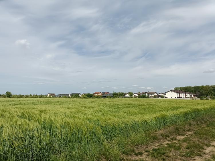 Teren Construcții intravilan de 8236 mp, în Corbeanca