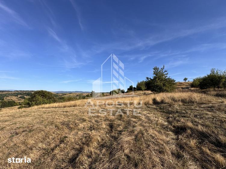 Teren de 50000 mp, în Teliucu Inferior