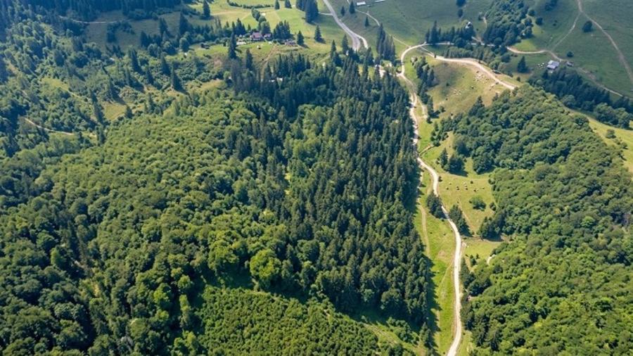 Teren Construcții intravilan de 2763 mp, în Poiana Brașov