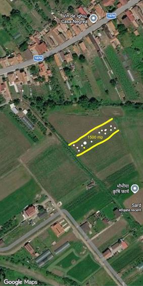 Teren de 1500 mp, în Șard