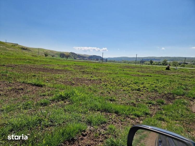 Teren de 17000 mp, în Căpușu Mare