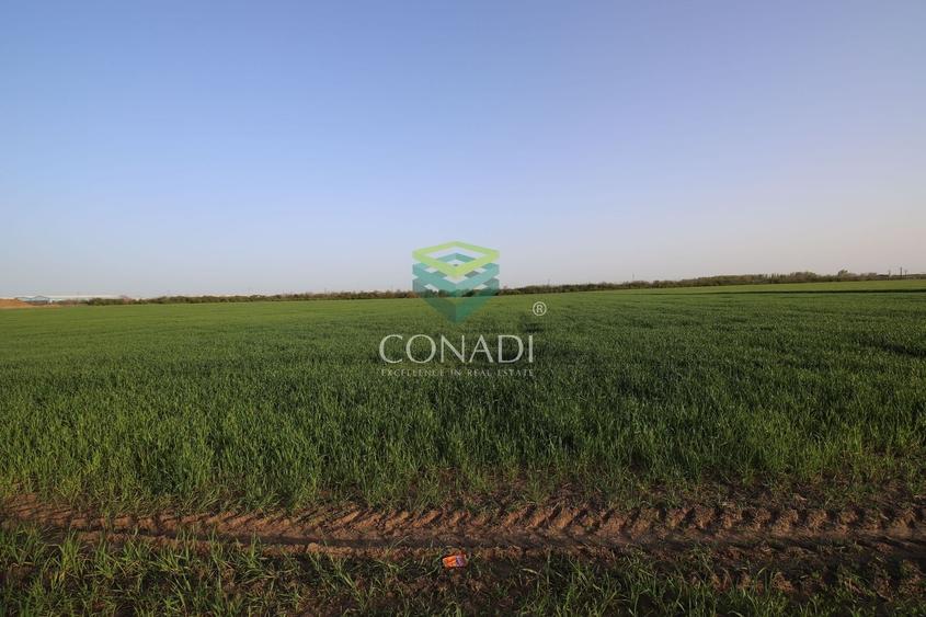 Teren agricol intravilan de 5792 mp, în Clinceni