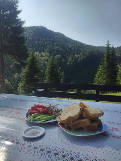 Teren în Central