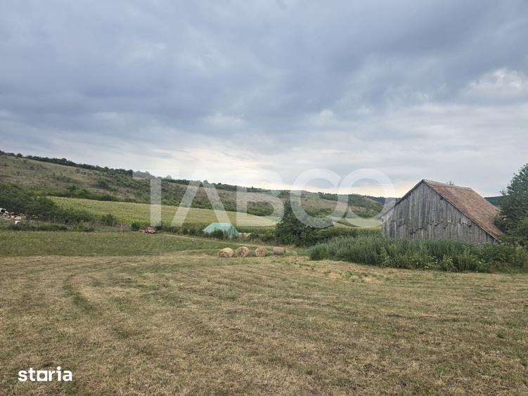 Teren de 8700 mp, în Șura Mare