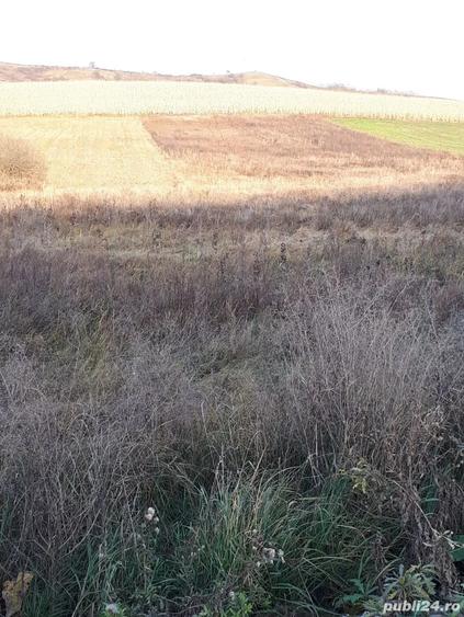 Vand teren extravilan - 2
