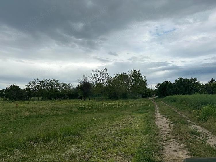 Teren de 11300 mp, în Balta Doamnei