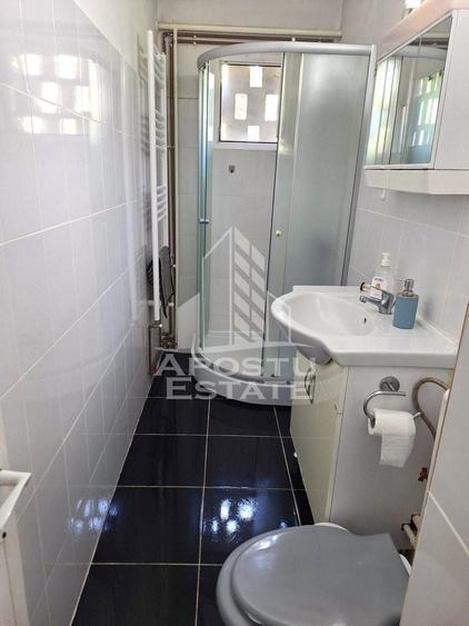 Apartament cu 2 camere de inchiriat in zona Sagului - 4