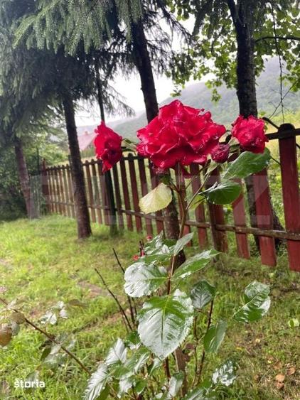 Casă cu 3 camere cu Teren 2460 Mp în Eremitu