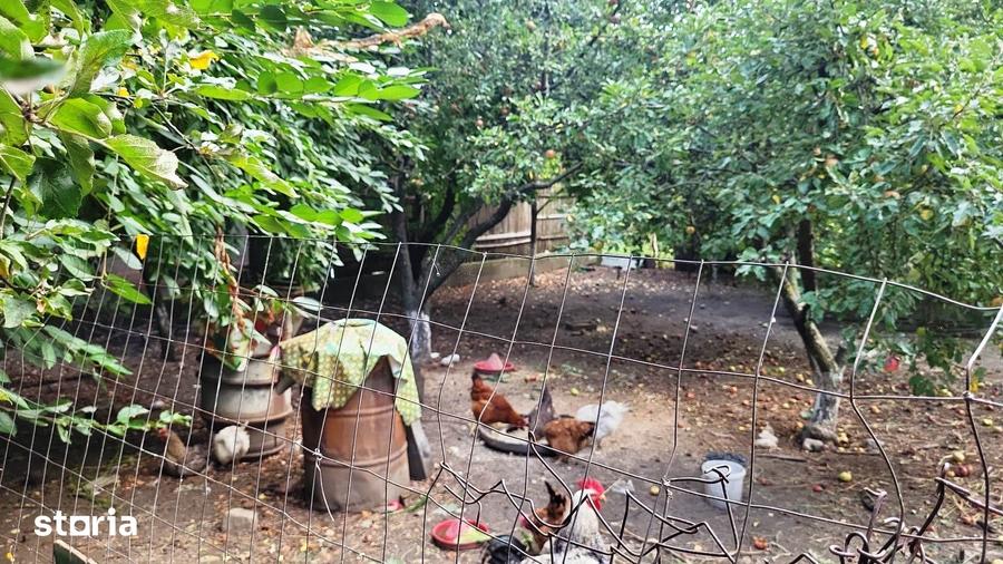Casă cu 5 camere cu Teren 933 Mp în Mărăcineni