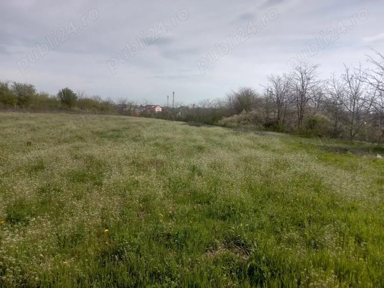 Teren de 5000 mp, în Afumați