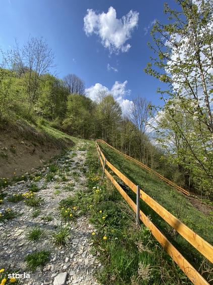 Teren de 4360 mp, în Valea Doftanei