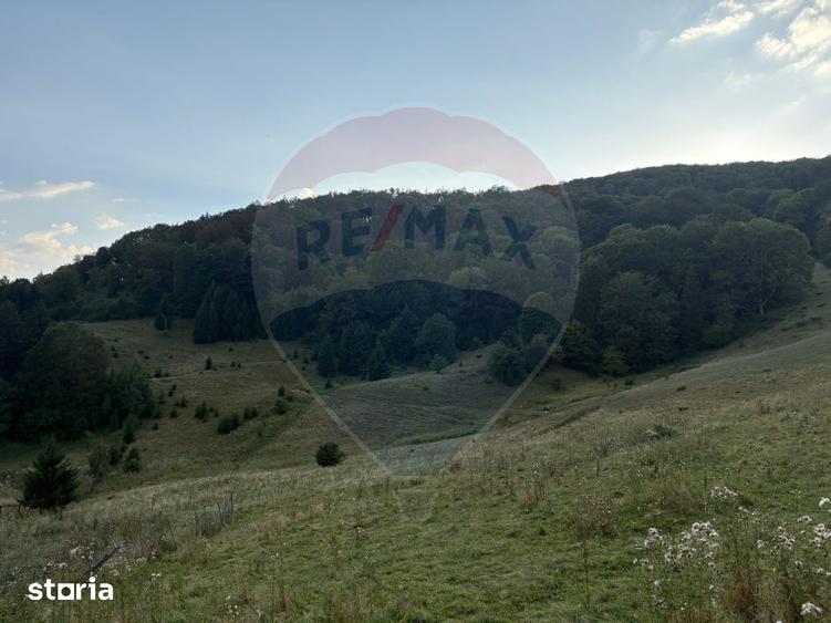 Teren de 2050 mp, în Recea
