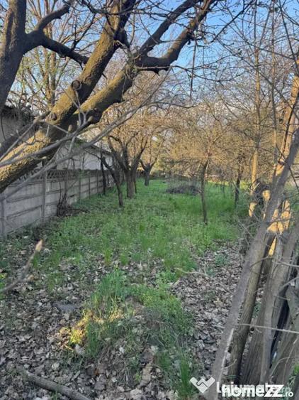 Teren în Central