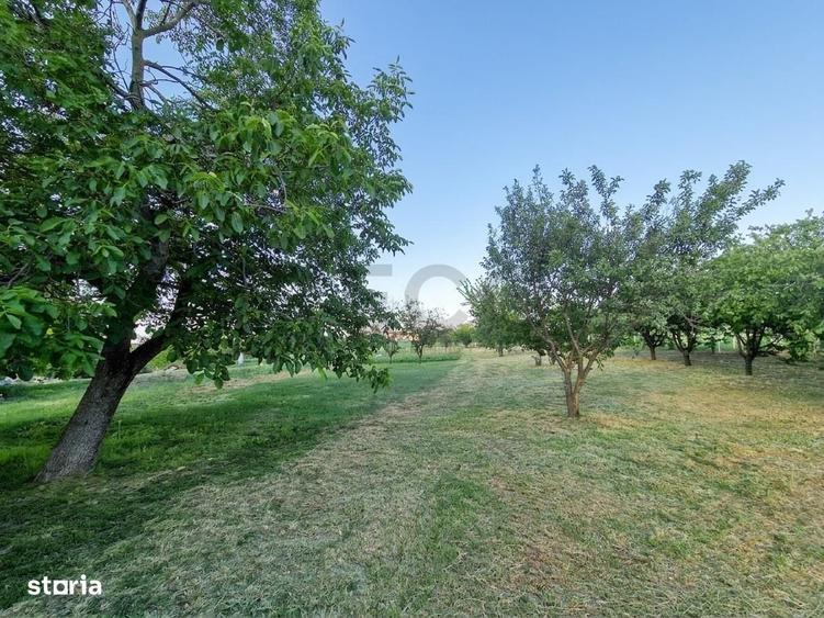 Casă cu 4 camere cu Teren 2700 Mp în Girișu de Criș