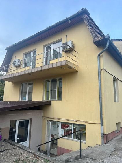 Casă individuală cu 8 camere cu Canalizare în Torontalului