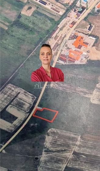 Teren de 1500 mp, în Sud