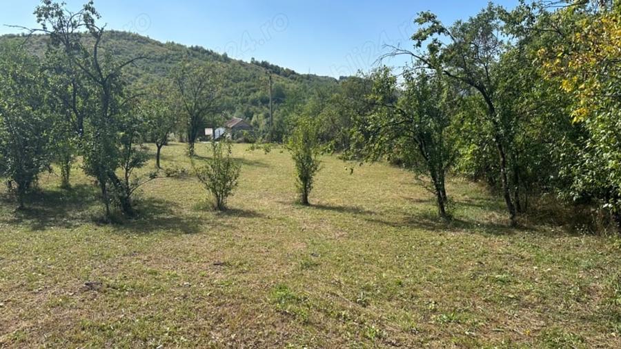 Teren de 3000 mp, în Central