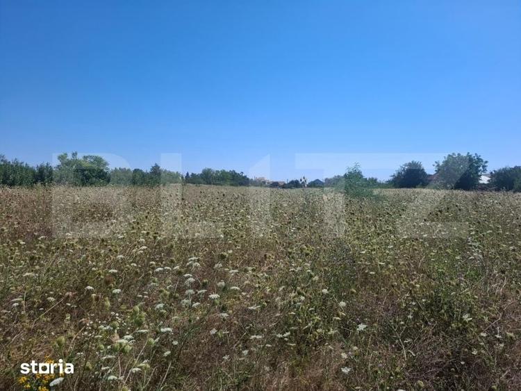 Teren de 3000 mp, în Ulmi