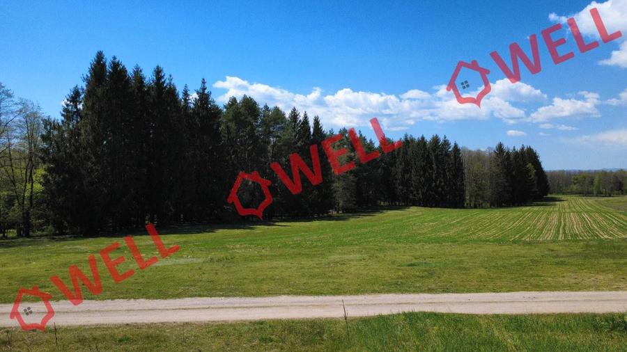 Teren agricol extravilan de 2900 mp, în Reci