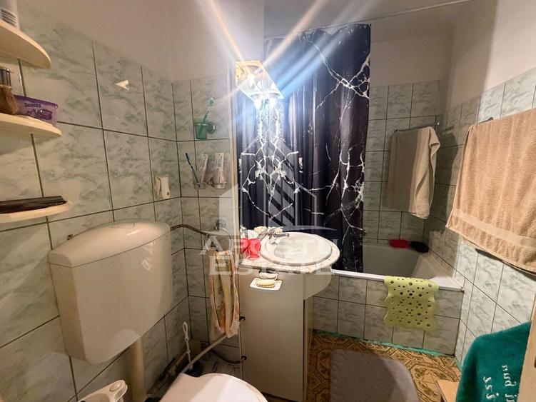 Apartament cu 3 camere de vanzare,decomandat , Zona Lipovei,Timisoara - 18