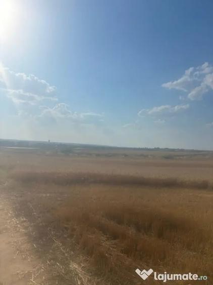 Teren de 500 mp, în Malu Mare