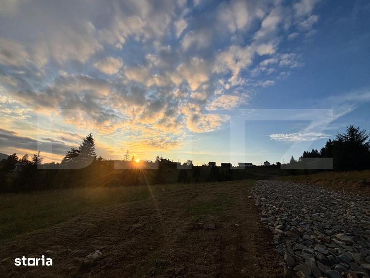 Teren de 5000 mp, în Tiha Bârgăului