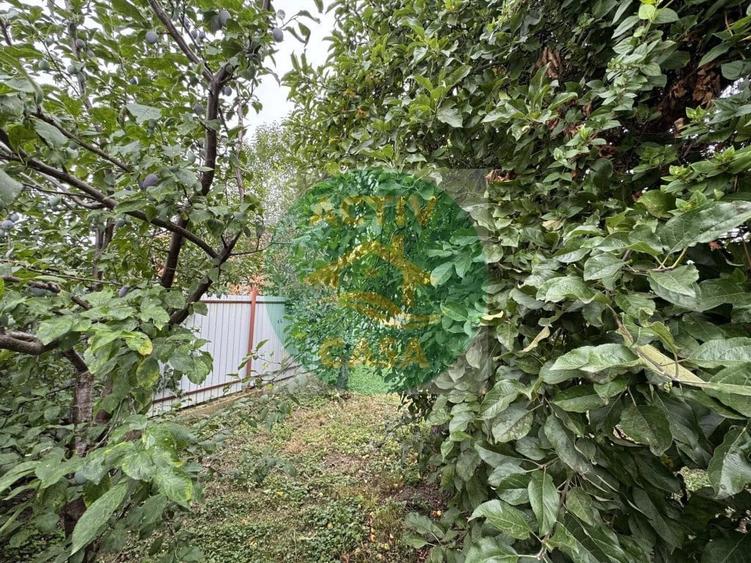 Casă cu 2 camere cu Teren 1000 Mp în Butea