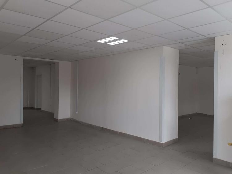 Inchiriez o casa cu trei apartamente -SAD-uri, in Timisoara, zona Mehala, foarte aproape de Piata Avram Iancu - 7