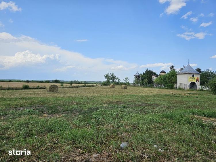 Teren de 6200 mp, în Poienarii Burchii
