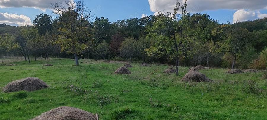 Teren de 5541 mp, în Runcu Mare