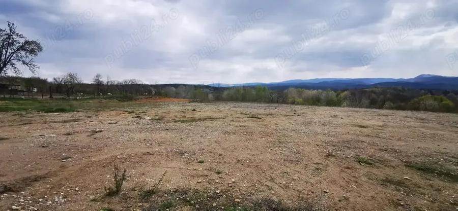 Teren de 26500 mp, în Calea Caransebeșului