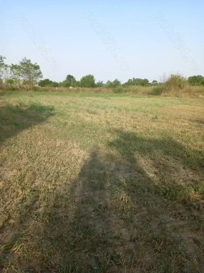 Teren de 3700 mp, în Iazurile