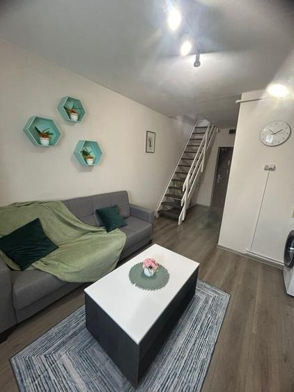 Apartament cu 2 camere decomandat în Terezian