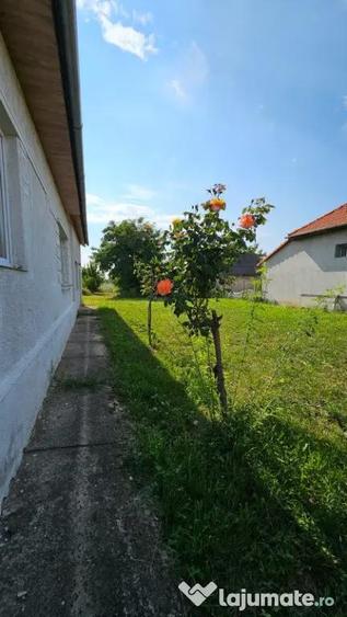 Apa, casa P+M,14 ari teren - 3