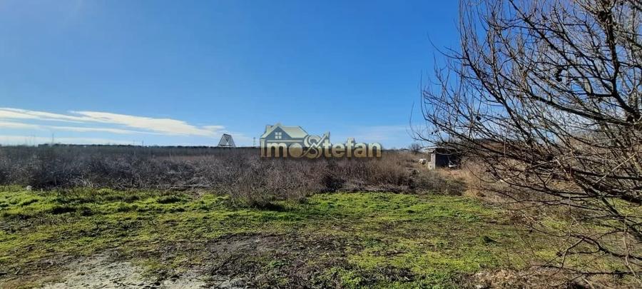 Teren Intravilan Vama Veche | 7.495 mp | Oportunitate Investiție - 9