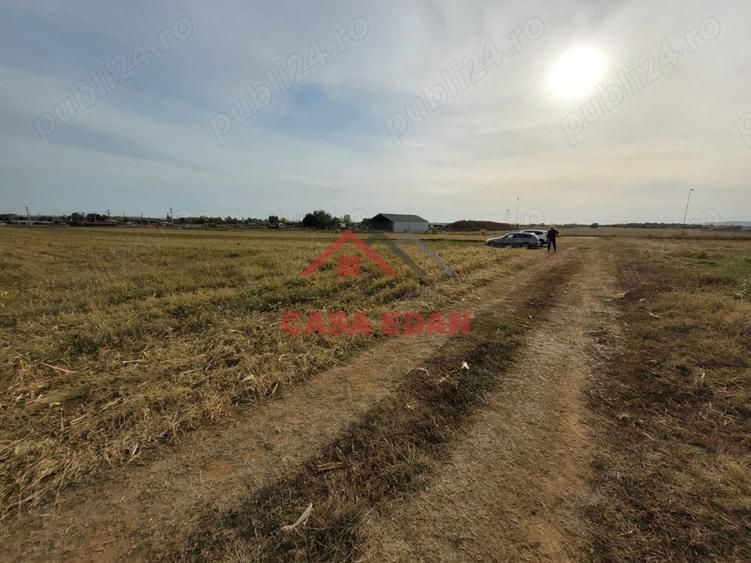 Teren intravilan in Baicoi zona targului--10.000mp--5e - 3