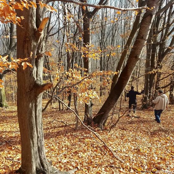 Teren de 30000 mp, în Spulber