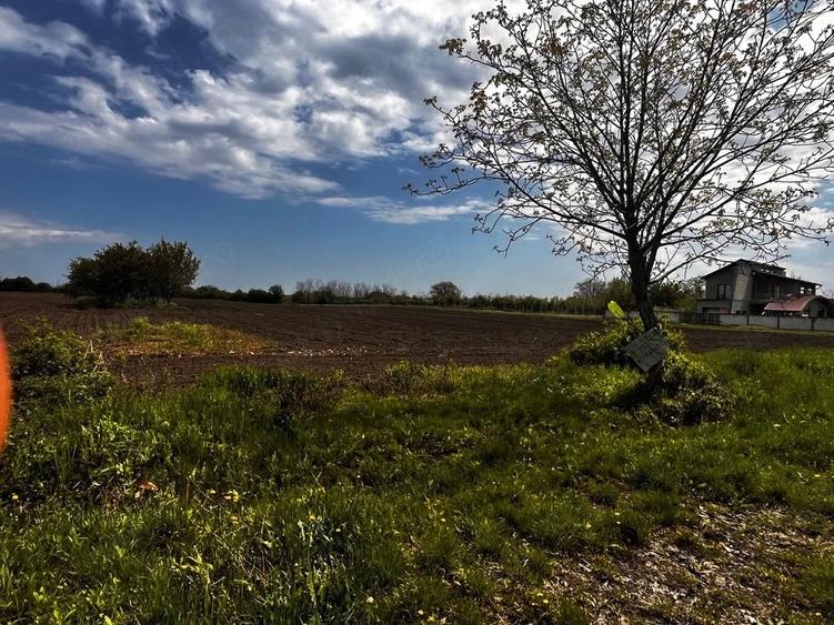 Teren de 1700 mp, în Berceni