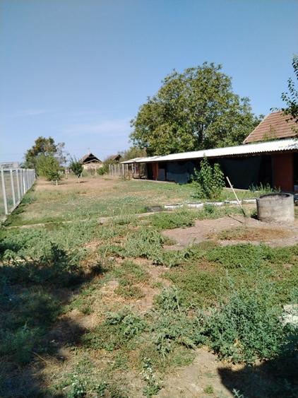 Casa de vanzare ... - 16