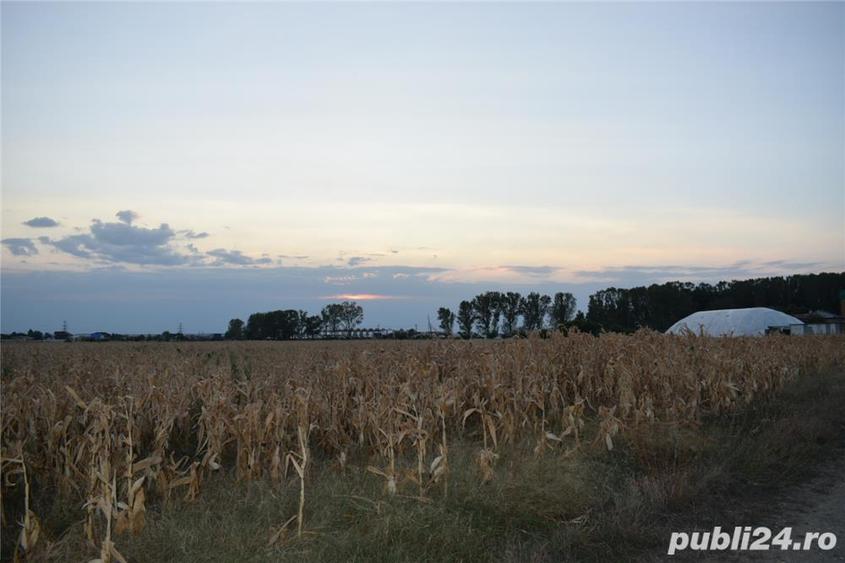 Teren de 7440 mp, în Slătioara