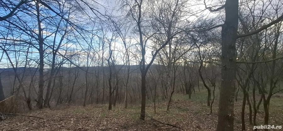 Teren de 4900 mp, în Central