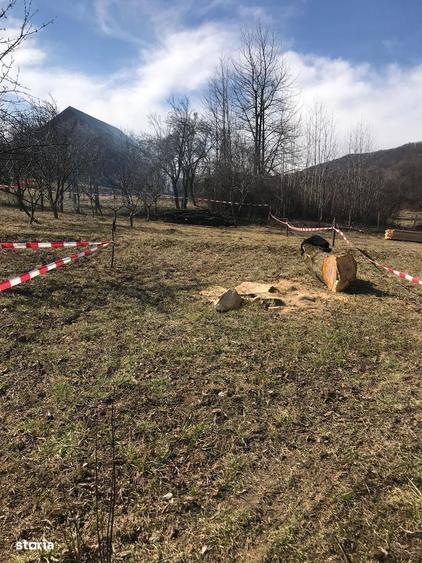 Teren de 715 mp, în Central