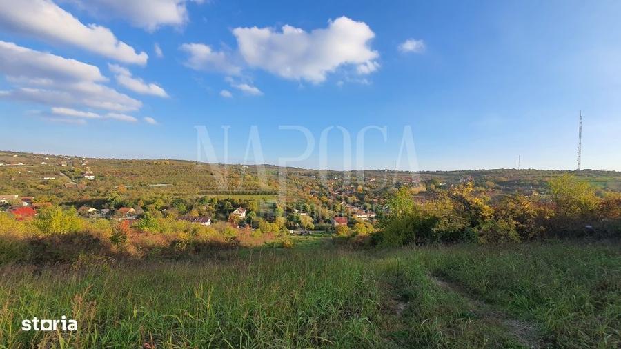 Teren intravilan constructii de vanzare in Dealuri Oradea, Oradea - 1