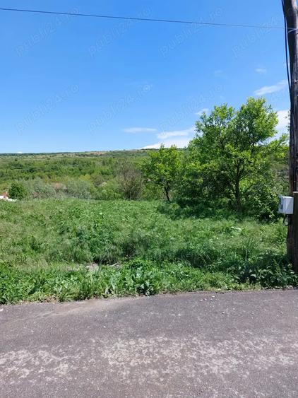 Teren de 2170 mp, în Morău