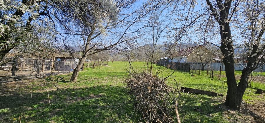 Casă individuală cu 4 camere cu Teren 2904 Mp în Dărmănești