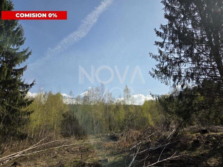 Teren Construcții intravilan de 1000 mp, în Viștișoara