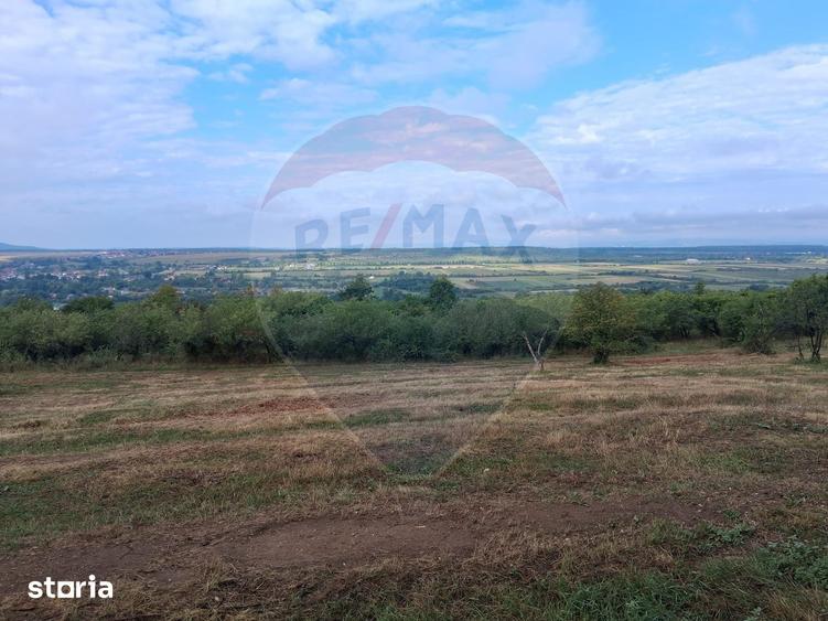 Teren de 5700 mp, în Central