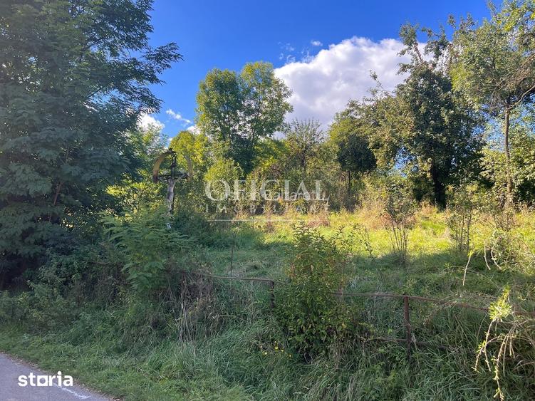 OPORTUNITATE!!! Teren Intravilan 2771 Mp Zona CIURILA POSIBIL RATE