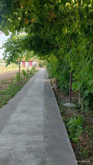 Casă cu 2 camere în Zimnicea